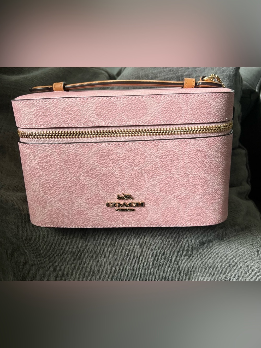Coach Pink Pebbled Leather Cosmetic Bag with Tan Handle